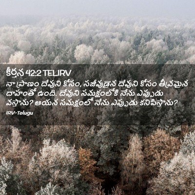 Picture 02 - కీర్తన 42:2 TELIRV - నా ప్రాణం దేవుని - Bible Verse Picture