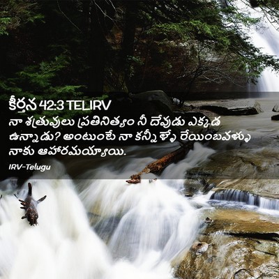 Picture 02 - కీర్తన 42:3 TELIRV - నా శత్రువులు - Bible Verse Picture