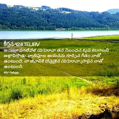 Picture 02 - కీర్తన 42:8 TELIRV - అయినా పగటివేళ - Bible Verse Picture
