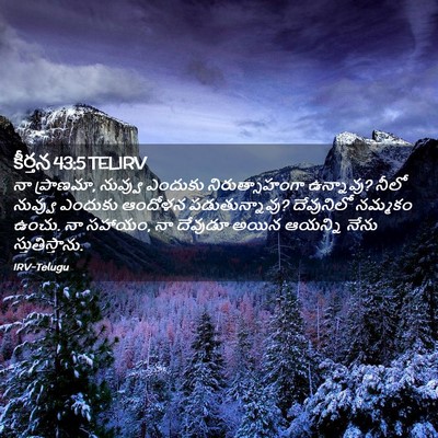 Picture 02 - కీర్తన 43:5 TELIRV - నా ప్రాణమా, నువ్వు - Bible Verse Picture