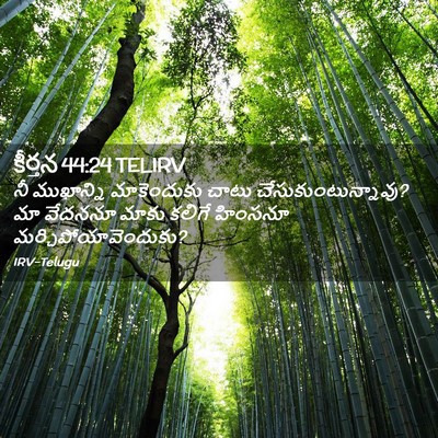 Picture 02 - కీర్తన 44:24 TELIRV - నీ ముఖాన్ని - Bible Verse Picture