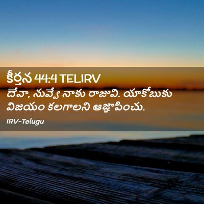Picture 02 - కీర్తన 44:4 TELIRV - దేవా, నువ్వే నాకు - Bible Verse Picture