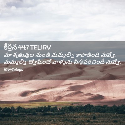 Picture 02 - కీర్తన 44:7 TELIRV - మా శత్రువుల నుండి - Bible Verse Picture