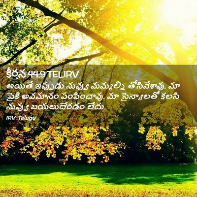 Picture 02 - కీర్తన 44:9 TELIRV - అయితే ఇప్పుడు - Bible Verse Picture
