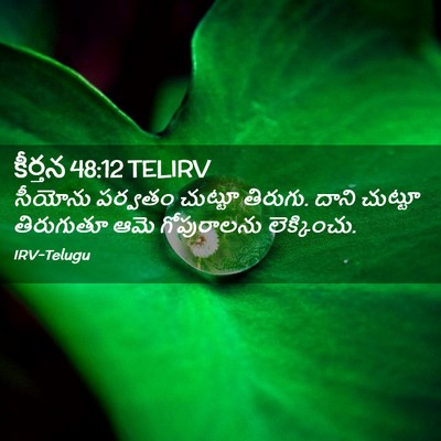 Picture 02 - కీర్తన 48:12 TELIRV - సీయోను పర్వతం - Bible Verse Picture