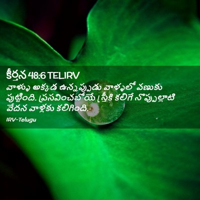 Picture 02 - కీర్తన 48:6 TELIRV - వాళ్ళు అక్కడ - Bible Verse Picture