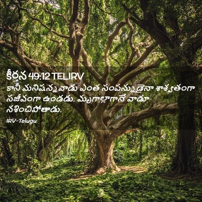 Picture 02 - కీర్తన 49:12 TELIRV - కానీ మనిషన్నవాడు - Bible Verse Picture