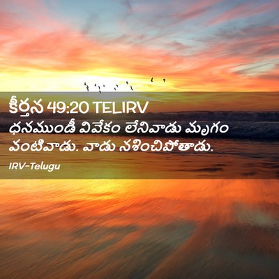 Picture 02 - కీర్తన 49:20 TELIRV - ధనముండీ వివేకం - Bible Verse Picture