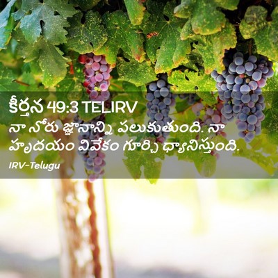 Picture 02 - కీర్తన 49:3 TELIRV - నా నోరు - Bible Verse Picture
