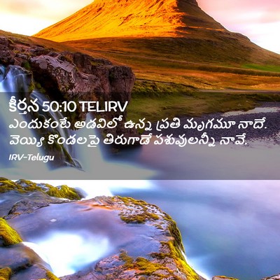 Picture 02 - కీర్తన 50:10 TELIRV - ఎందుకంటే అడవిలో - Bible Verse Picture