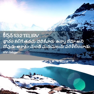 Picture 02 - కీర్తన 53:2 TELIRV - జ్ఞానం కలిగి తనను - Bible Verse Picture