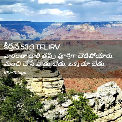 Picture 02 - కీర్తన 53:3 TELIRV - వారంతా దారి తప్పి - Bible Verse Picture