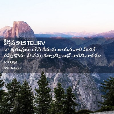 Picture 02 - కీర్తన 54:5 TELIRV - నా శత్రువులు చేసే - Bible Verse Picture