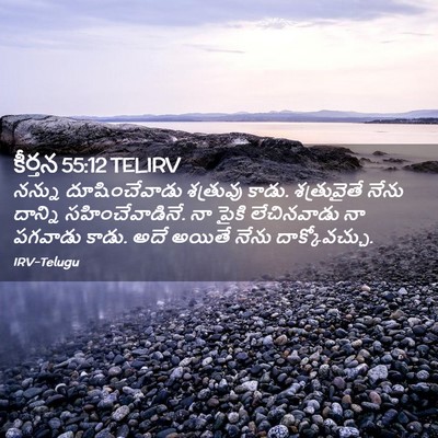 Picture 02 - కీర్తన 55:12 TELIRV - నన్ను దూషించేవాడు - Bible Verse Picture