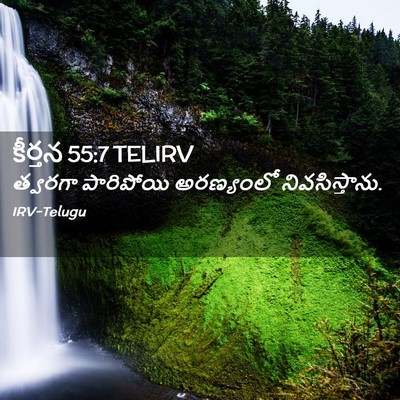 Picture 02 - కీర్తన 55:7 TELIRV - త్వరగా పారిపోయి - Bible Verse Picture