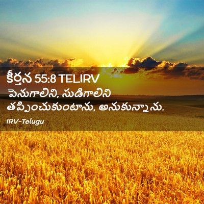Picture 02 - కీర్తన 55:8 TELIRV - పెనుగాలిని, - Bible Verse Picture