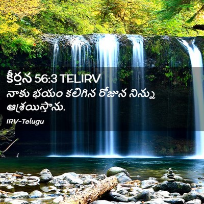 Picture 02 - కీర్తన 56:3 TELIRV - నాకు భయం కలిగిన - Bible Verse Picture