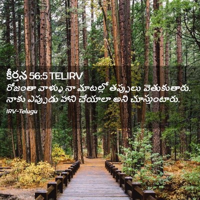 Picture 02 - కీర్తన 56:5 TELIRV - రోజంతా వాళ్ళు నా - Bible Verse Picture