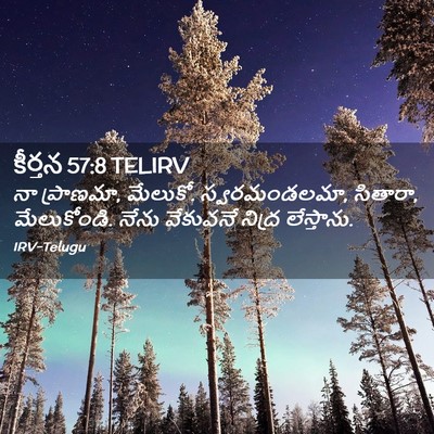 Picture 02 - కీర్తన 57:8 TELIRV - నా ప్రాణమా, మేలుకో. - Bible Verse Picture