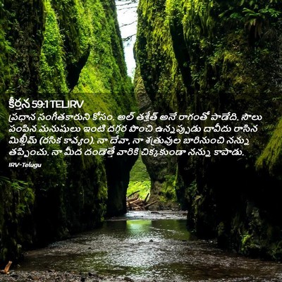 Picture 02 - కీర్తన 59:1 TELIRV - ప్రధాన - Bible Verse Picture