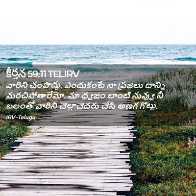 Picture 02 - కీర్తన 59:11 TELIRV - వారిని చంపొద్దు. - Bible Verse Picture