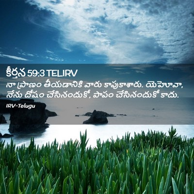 Picture 02 - కీర్తన 59:3 TELIRV - నా ప్రాణం - Bible Verse Picture