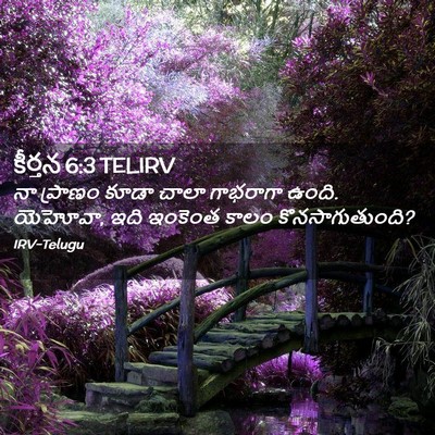 Picture 02 - కీర్తన 6:3 TELIRV - నా ప్రాణం కూడా - Bible Verse Picture