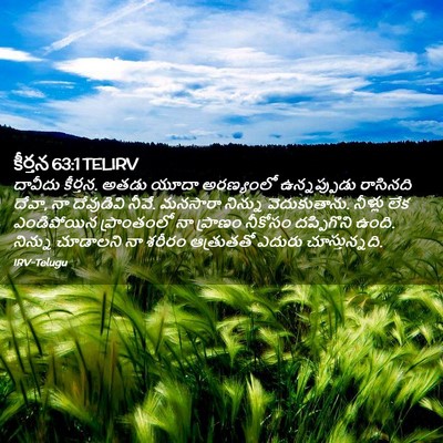 Picture 02 - కీర్తన 63:1 TELIRV - దావీదు కీర్తన. - Bible Verse Picture