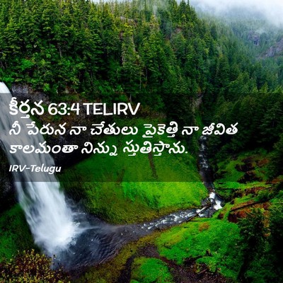 Picture 02 - కీర్తన 63:4 TELIRV - నీ పేరున నా చేతులు - Bible Verse Picture