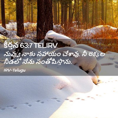 Picture 02 - కీర్తన 63:7 TELIRV - నువ్వు నాకు సహాయం - Bible Verse Picture