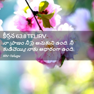 Picture 02 - కీర్తన 63:8 TELIRV - నా ప్రాణం నీపై - Bible Verse Picture