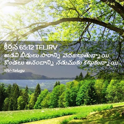 Picture 02 - కీర్తన 65:12 TELIRV - అడవి బీడులు - Bible Verse Picture