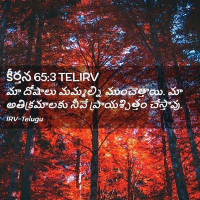 Picture 02 - కీర్తన 65:3 TELIRV - మా దోషాలు - Bible Verse Picture