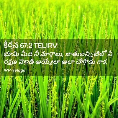 Picture 02 - కీర్తన 67:2 TELIRV - భూమి మీద నీ - Bible Verse Picture