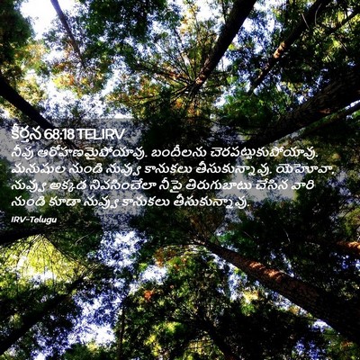 Picture 02 - కీర్తన 68:18 TELIRV - నీవు - Bible Verse Picture