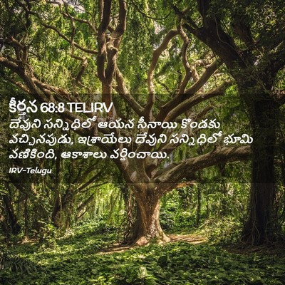 Picture 02 - కీర్తన 68:8 TELIRV - దేవుని సన్నిధిలో - Bible Verse Picture