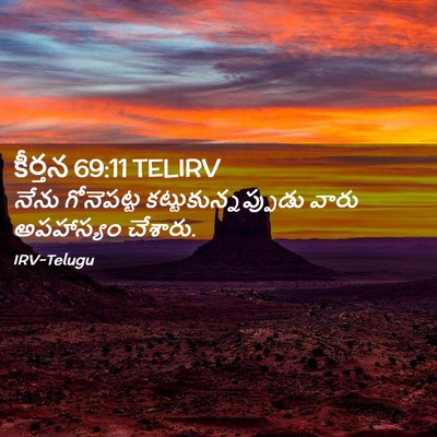 Picture 02 - కీర్తన 69:11 TELIRV - నేను గోనెపట్ట - Bible Verse Picture