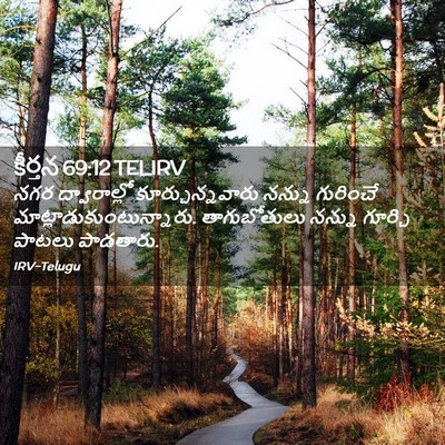 Picture 02 - కీర్తన 69:12 TELIRV - నగర ద్వారాల్లో - Bible Verse Picture