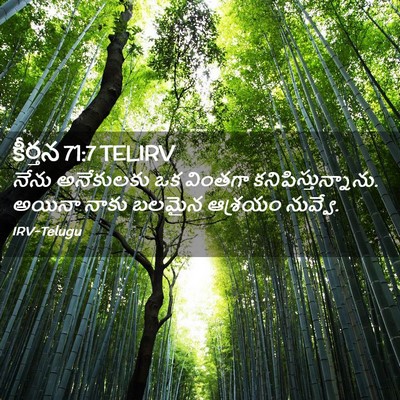 Picture 02 - కీర్తన 71:7 TELIRV - నేను అనేకులకు ఒక - Bible Verse Picture