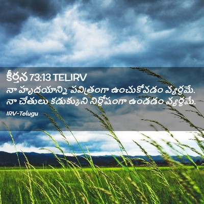 Picture 02 - కీర్తన 73:13 TELIRV - నా హృదయాన్ని - Bible Verse Picture
