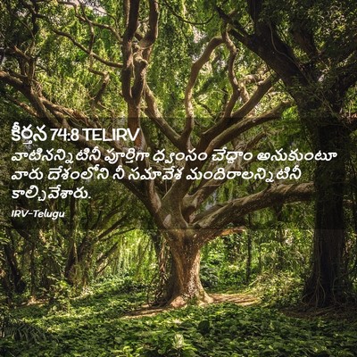 Picture 02 - కీర్తన 74:8 TELIRV - వాటినన్నిటినీ - Bible Verse Picture