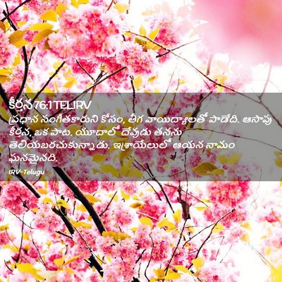 Picture 02 - కీర్తన 76:1 TELIRV - ప్రధాన - Bible Verse Picture