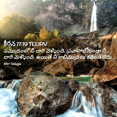 Picture 02 - కీర్తన 77:19 TELIRV - సముద్రంలో నీ దారి - Bible Verse Picture