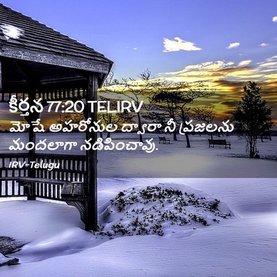Picture 02 - కీర్తన 77:20 TELIRV - మోషే అహరోనుల - Bible Verse Picture