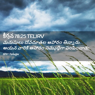 Picture 02 - కీర్తన 78:25 TELIRV - మనుషులు దేవదూతల - Bible Verse Picture