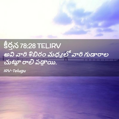 Picture 02 - కీర్తన 78:28 TELIRV - అవి వారి శిబిరం - Bible Verse Picture
