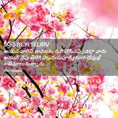 Picture 02 - కీర్తన 78:34 TELIRV - ఆయన వారిని బాధలకు - Bible Verse Picture