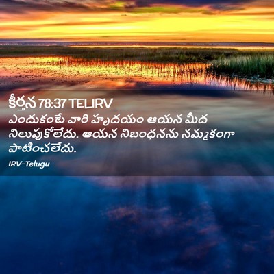 Picture 02 - కీర్తన 78:37 TELIRV - ఎందుకంటే వారి - Bible Verse Picture