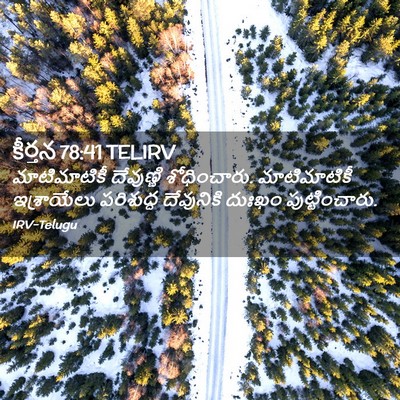 Picture 02 - కీర్తన 78:41 TELIRV - మాటిమాటికీ - Bible Verse Picture