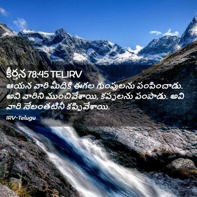 Picture 02 - కీర్తన 78:45 TELIRV - ఆయన వారి మీదికి - Bible Verse Picture